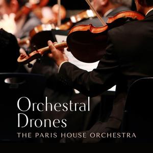 宜昌水泥厂家用小鱼营销导航
